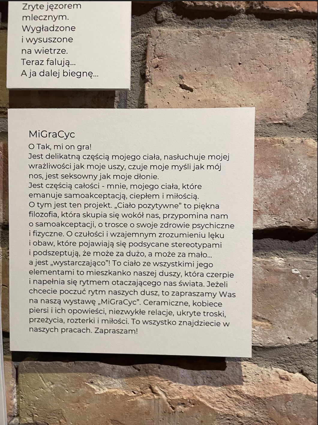 Projekt autorski 2